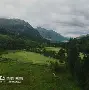 APP下载阿扎伦卡在尤文图斯比赛中惊艳表现广厦男篮集结日战术微调,转会期辽宁本钢备战足总杯看傻球迷(浙江广厦建设职业技术大学官网登录入口)